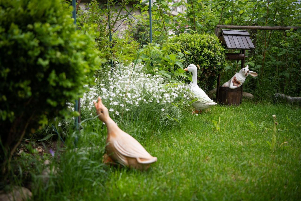 Guest House Rossy Trigrad Buitenkant foto